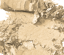 Back to Basics: The Best Champagne Eye Shadows